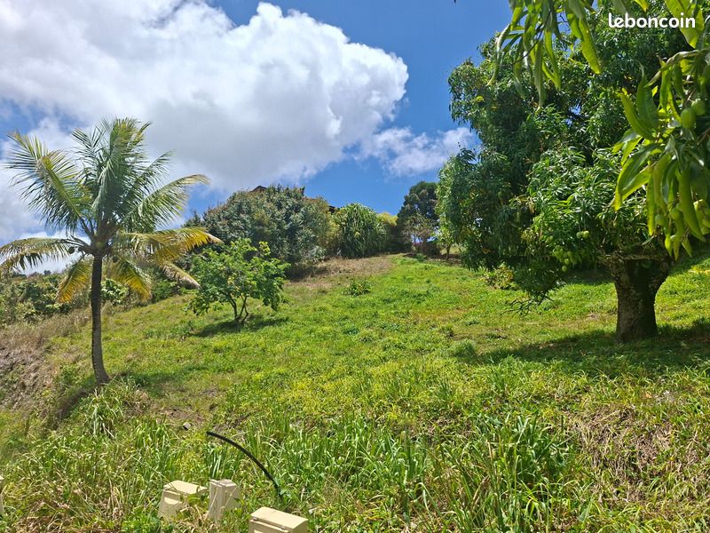Terrain 566 m² Sainte Luce · à Sainte-Luce · 110 000 €