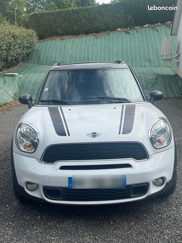 Mini Country Man (image 1)