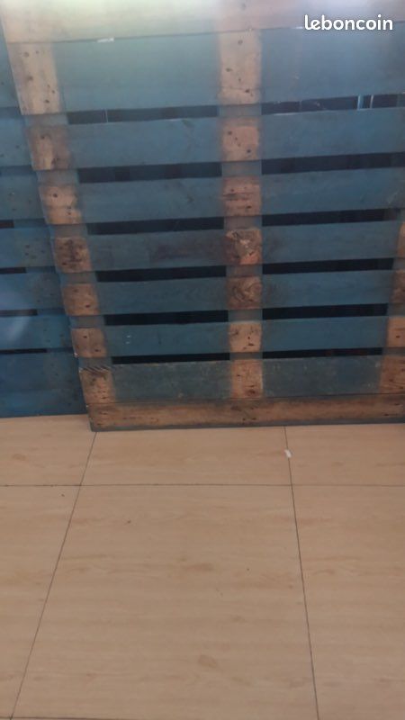 Palettes bleu don (image 1)