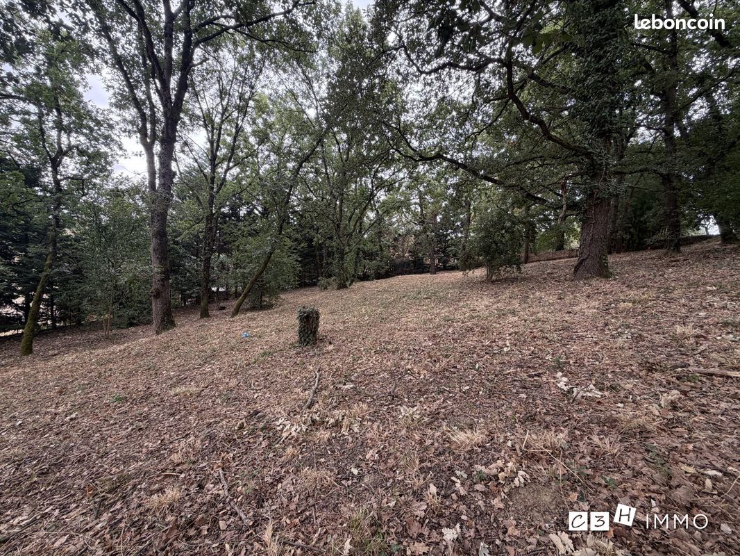 Terrain 1593 m² · à Miremont · 1 593 m² · 82 000 €