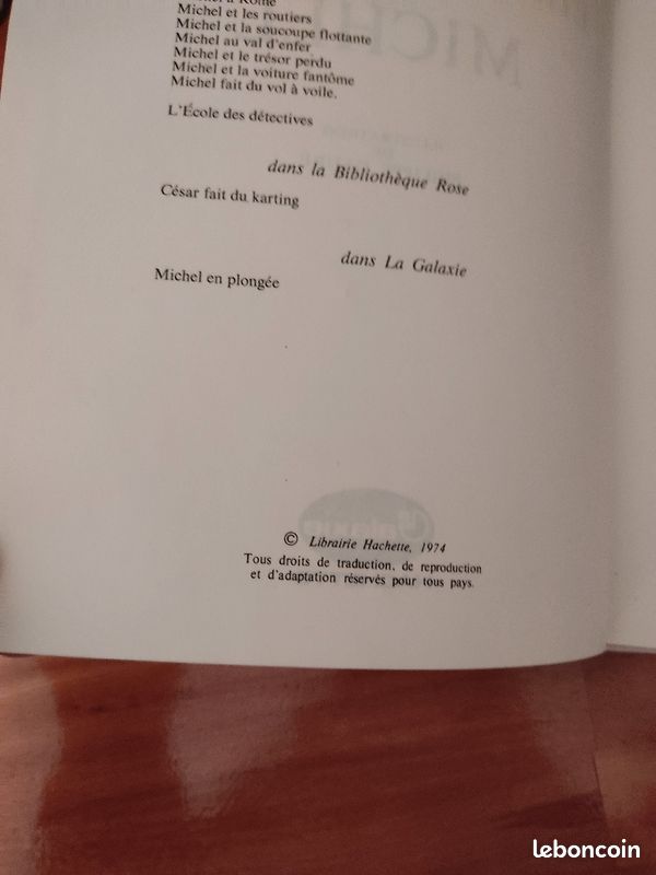 Les étranges vacances de michel (image 4)