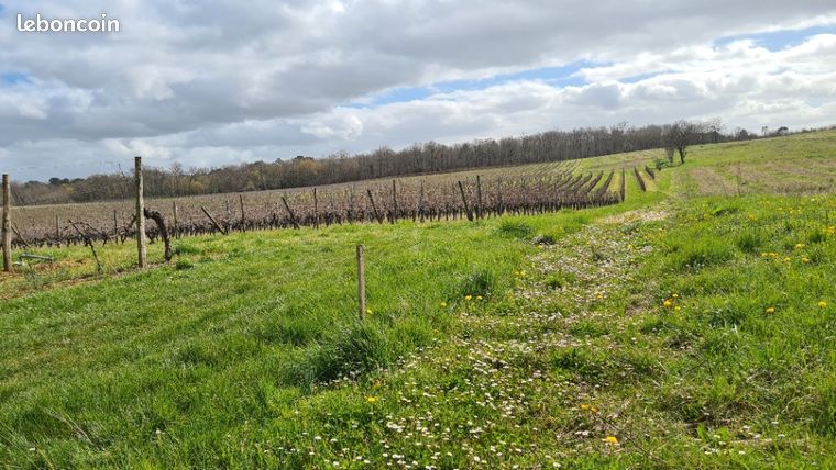 Terrain 1 600 m² Baigneaux