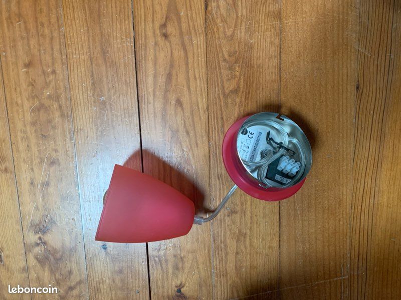 Suspension rose (image 2)