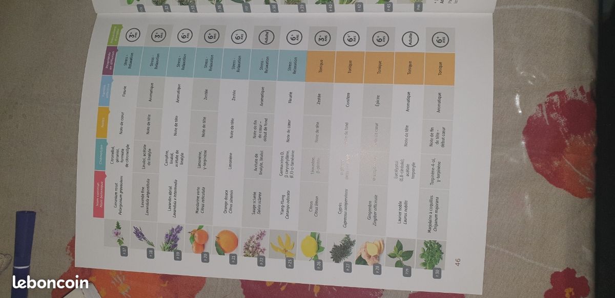 Précis olfactotherapie (image 4)