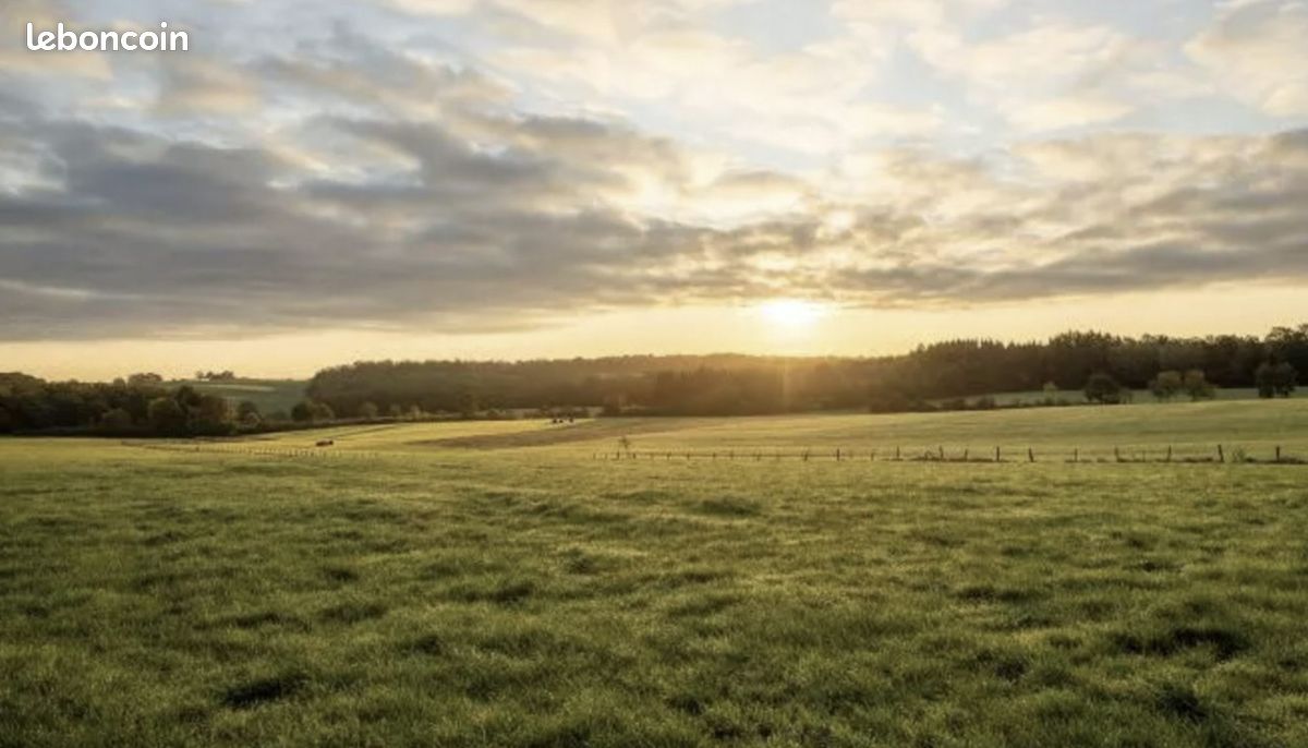 Terrain 599 m² · à Puttelange-lès-Thionville · 599 m² · 195 000 €