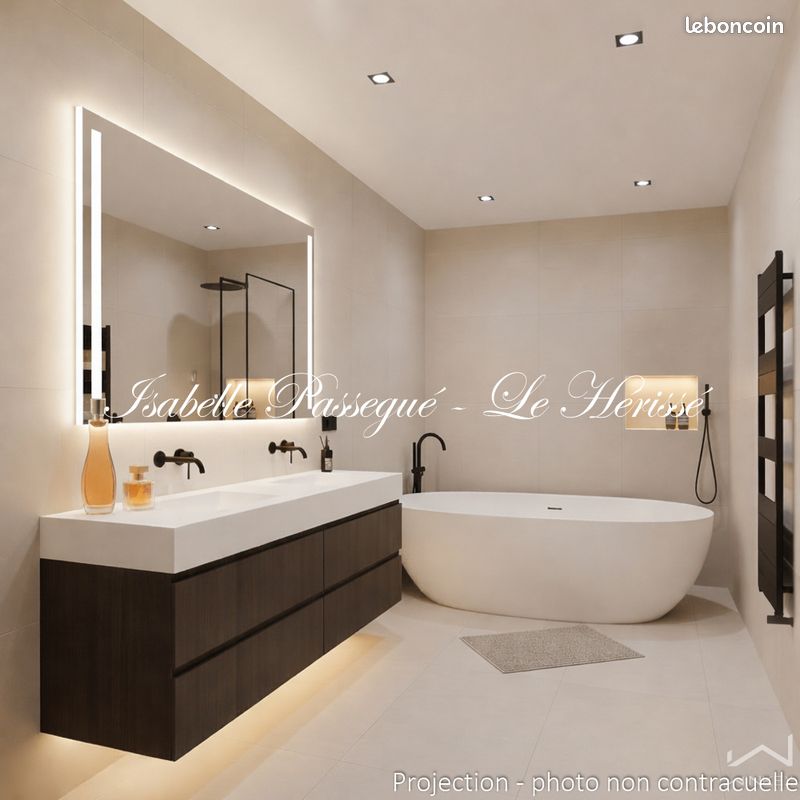 Maison en viager 11 pièces 300 m² (image 11)