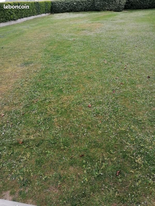 Terrain 1081 m² · à Kerfourn · 33 000 €