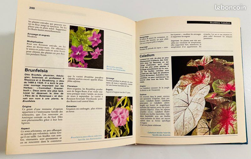 Encyclopédie des plantes d’appartement ENVOI GRATUIT (image 3)