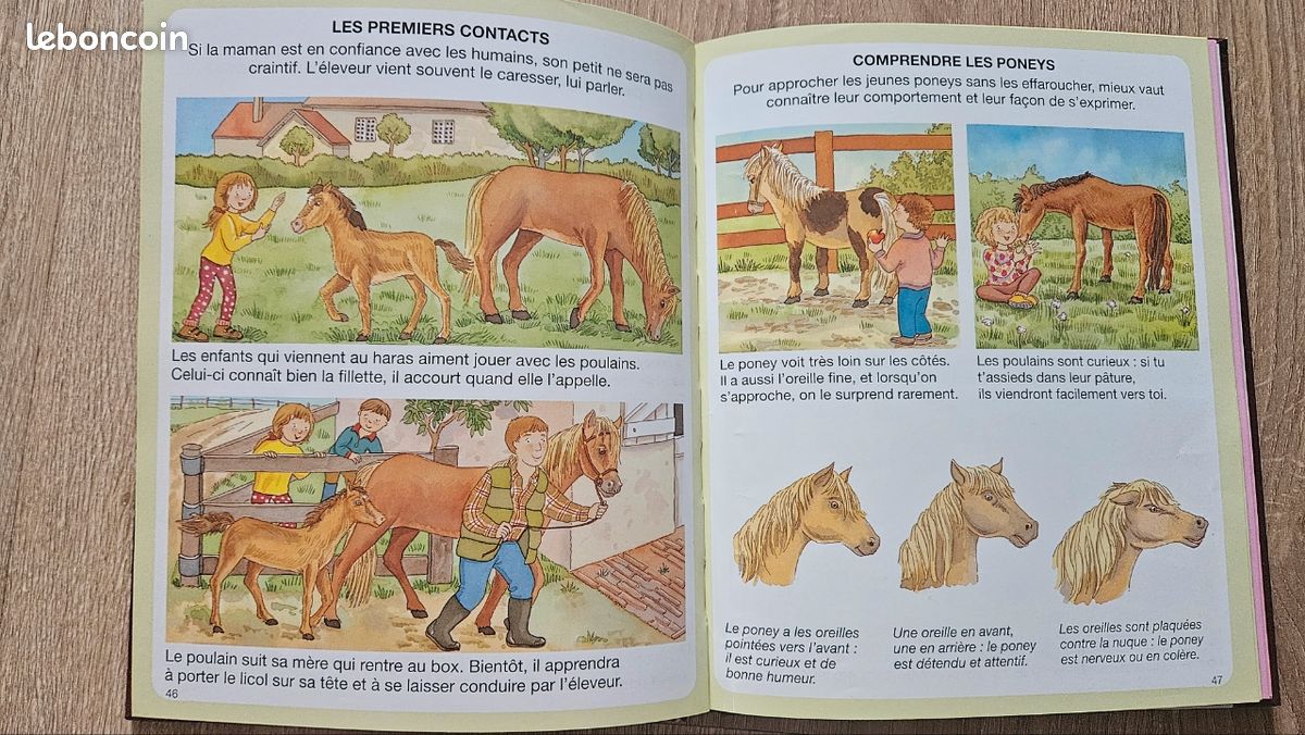 Livre "L'imagerie du poney et du cheval" (image 6)