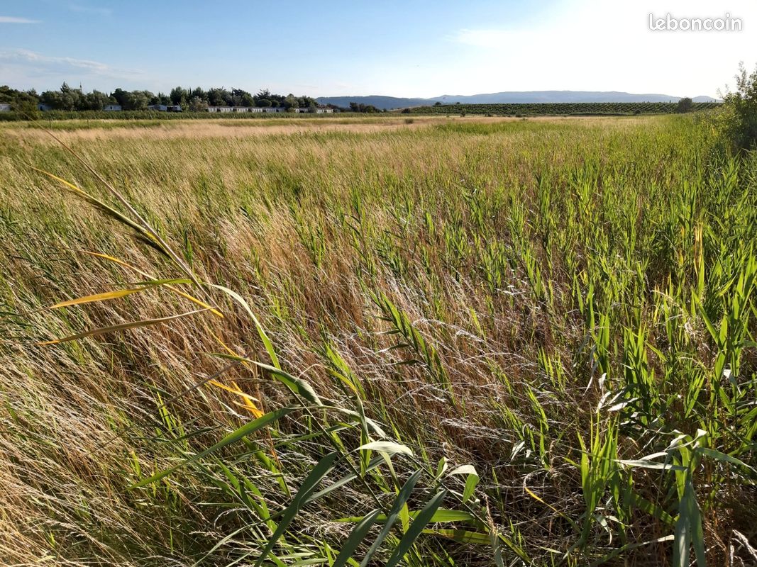 Terrain agricole · à Narbonne · 30 000 €