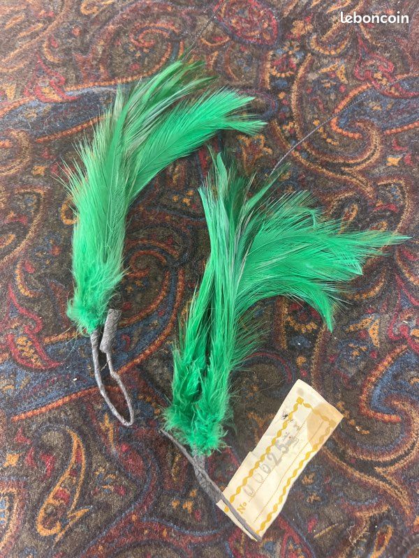 Paire de plumes vertes anciennes – accessoire costume Carnaval de Venise (image 1)