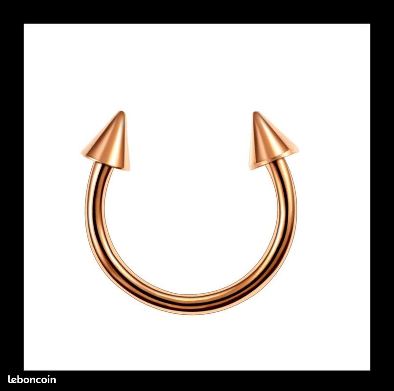 đ Superbe Piercing - Arcade pointes đ Neuf, sous blister (image 2)