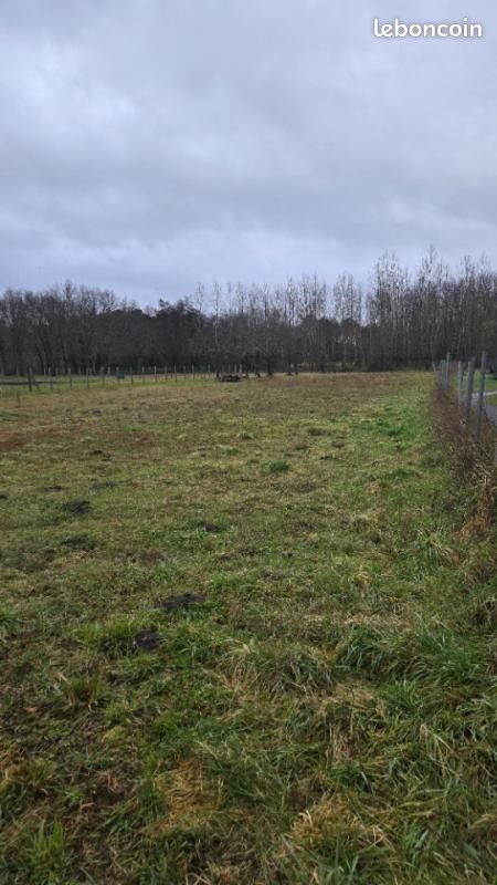 Terrain 990 m² Gauriaguet · 74 000 €