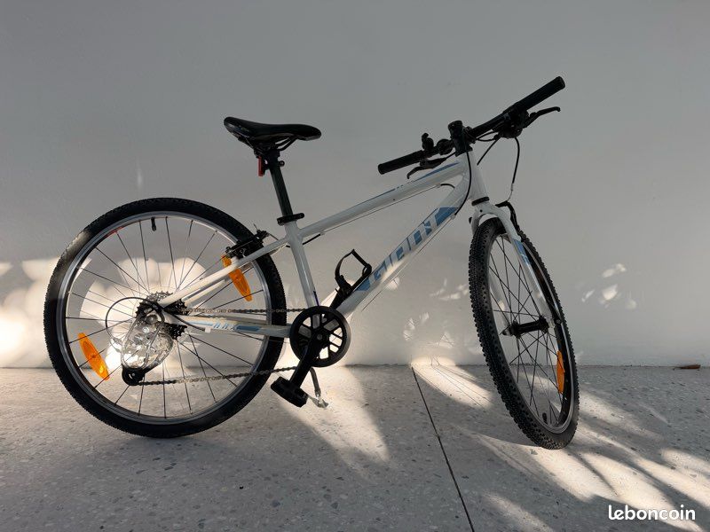 Vélo enfant giant arx (image 2)