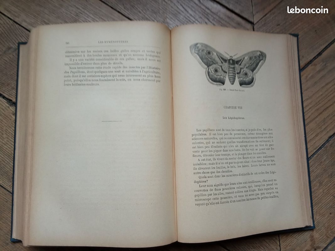 Livre ancien (image 2)