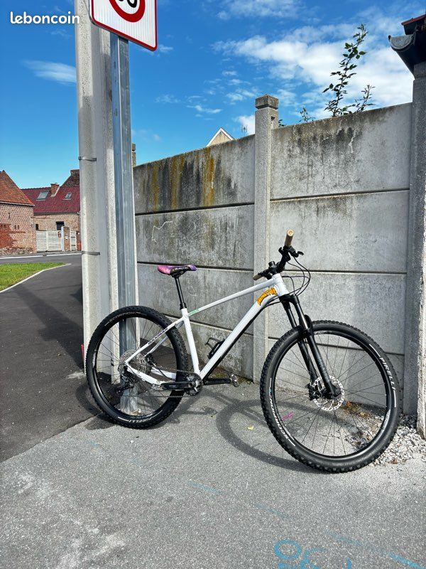 Mtb Rockrider Am Ht MOUNTAIN BIKE ROCKRIDER AM 100 HARDTAIL White