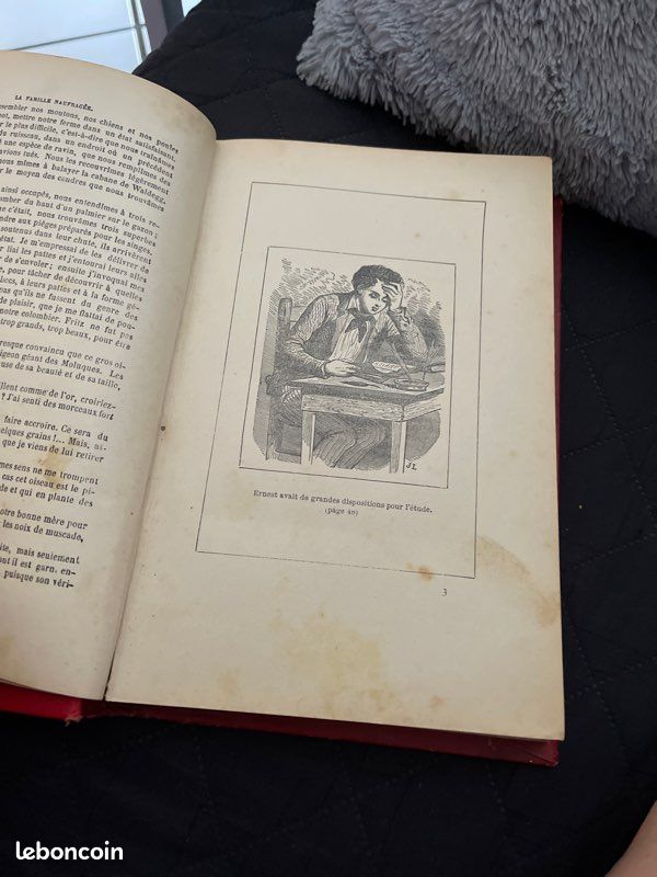 Livre très ancien la famille naufragée pas de livraison (image 6)
