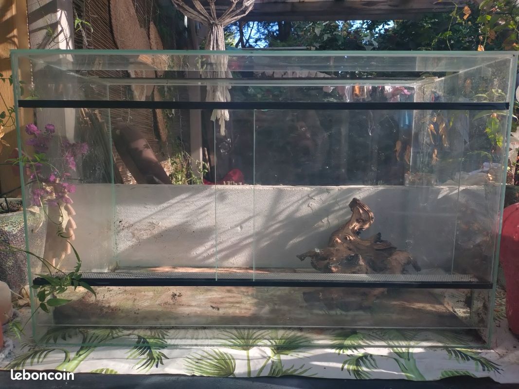Terrarium (image 1)