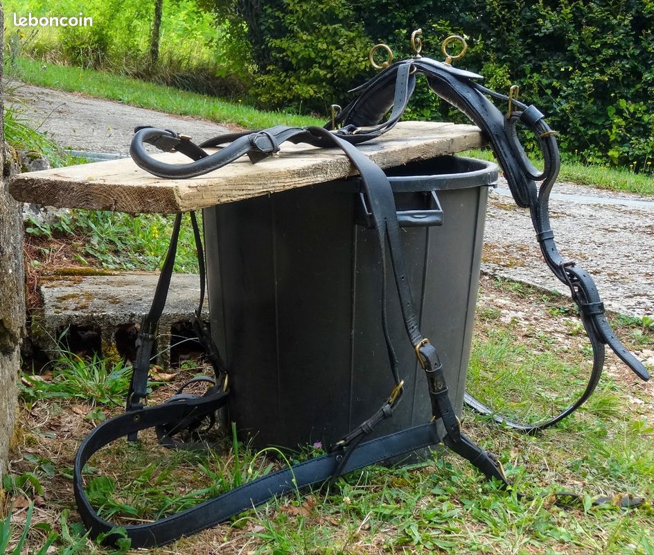 YIN® Harnais à pêche 15 Fourche à pêche en acier inoxydable Poisson