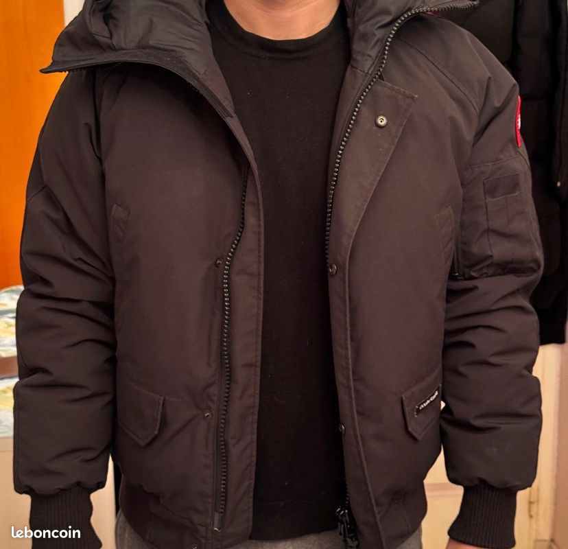 Canada goose (image 3)