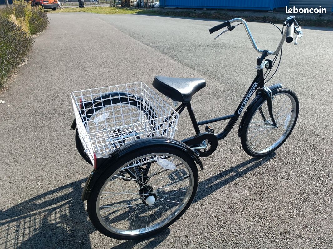 Tricycle Adulte P2R 24 Pouces – 5 Vitesses, Panier Inclus – Poids Max 100 Kg – Homologation NF30020