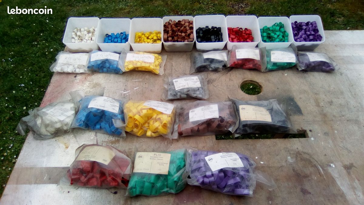 Bagues plastique 8 couleurs (image 1)