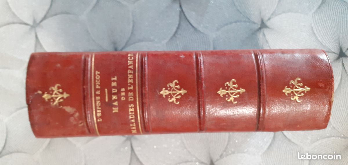 Manuel pratique des maladies de l'enfance (image 2)