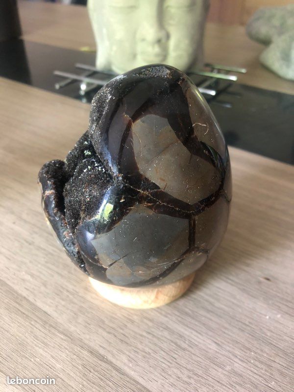 Œuf septaria moitié poli moitié brut (image 4)