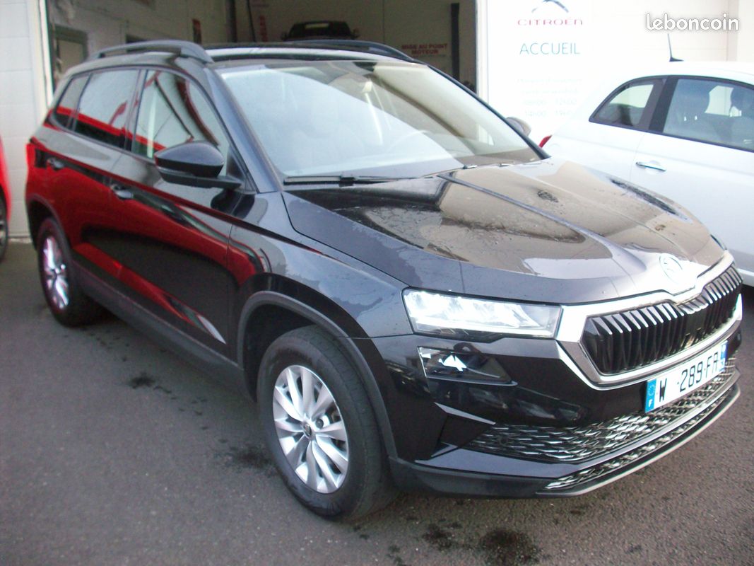 Skoda karoq BUSINESS 2.0 tdi 116 cv..dsg (image 1)