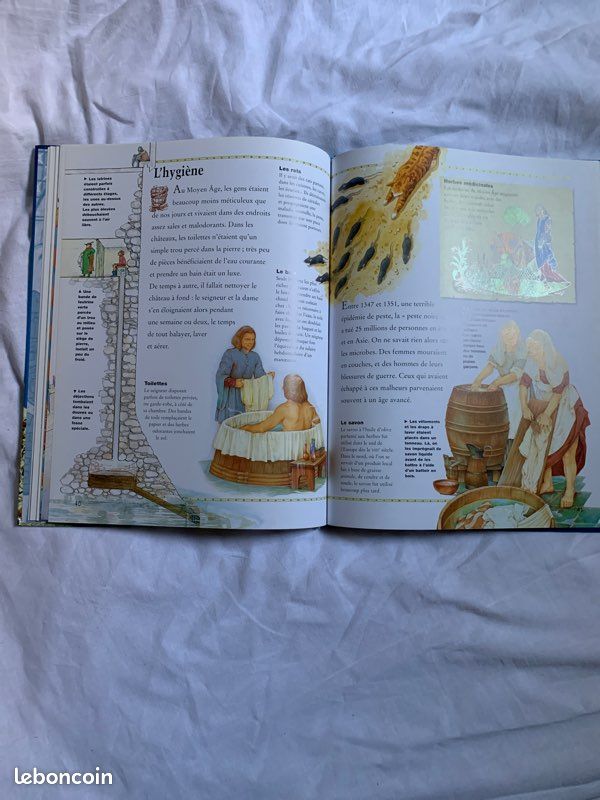 Livre sur châteaux forts (image 4)