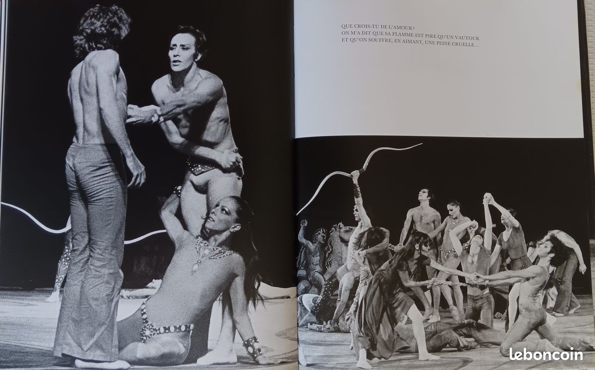 Livre d'art sur "Danser le XX è siècle" (image 5)