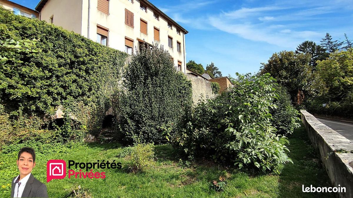 Immeuble 15 pièces 388 m² · à Thizy-les-Bourgs · 388 m² · 199 000 €