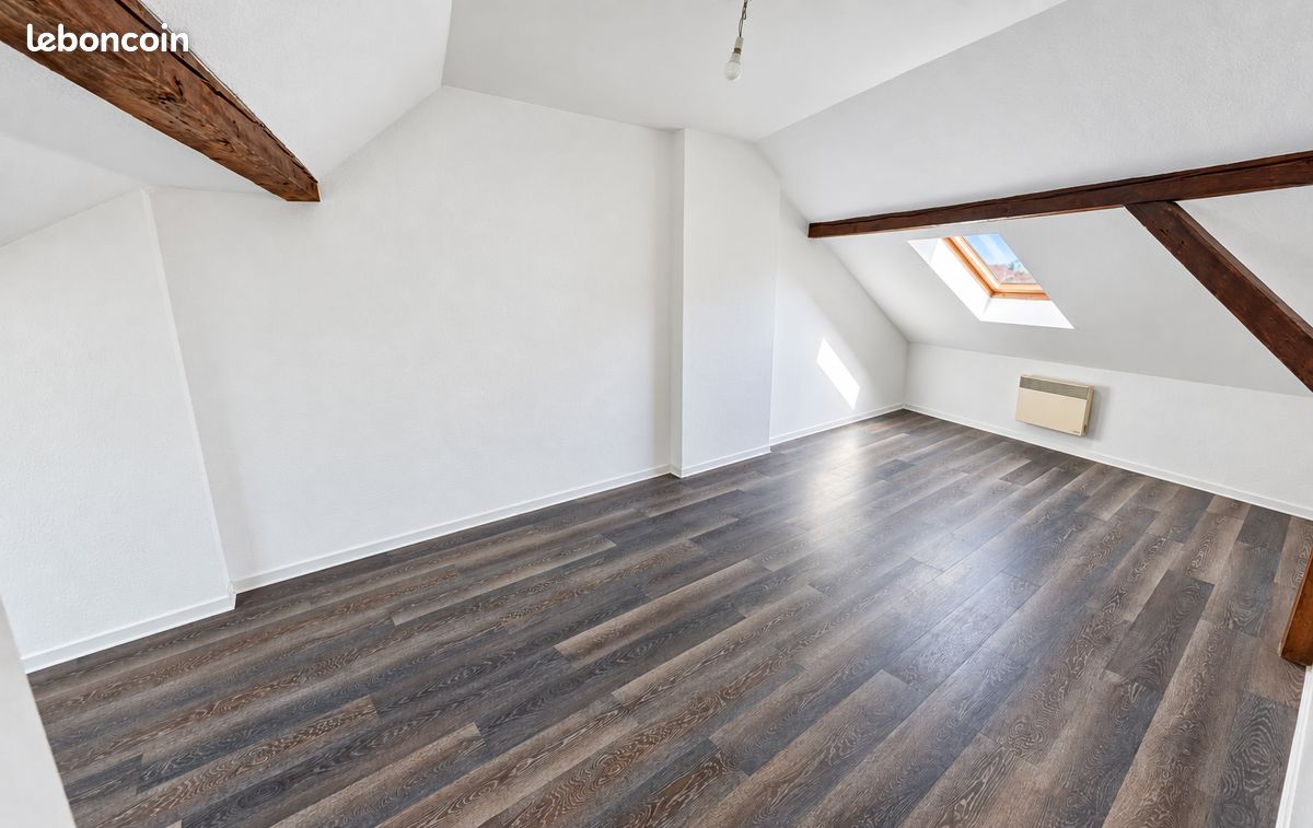 Krutenau – duplex au dernier étage avec vue cathédrale – famille ou investissement (image 1)