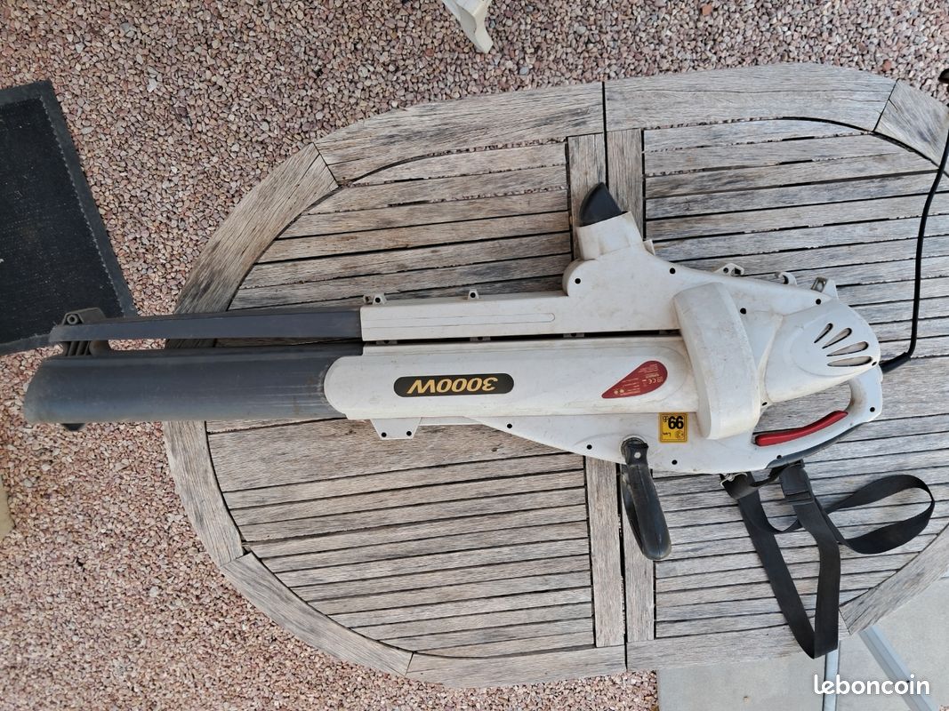 Aspirateur a feuilles (image 1)