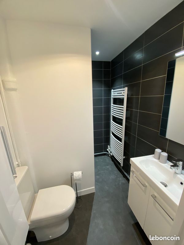 Splendide T2 entièrement rénové avec balcon et proximité des commerces - Limoges 87000 Centre-Hôtel de Ville Emailleurs (image principale 2)