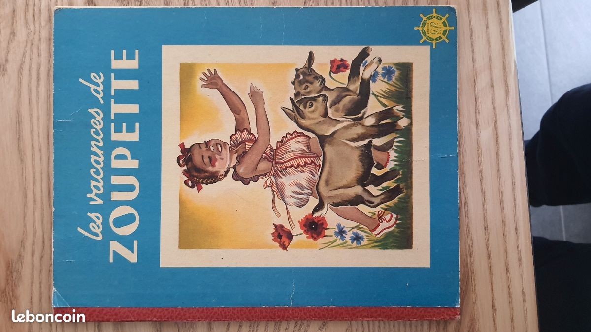 Livre les vacances de zoupette (image 1)