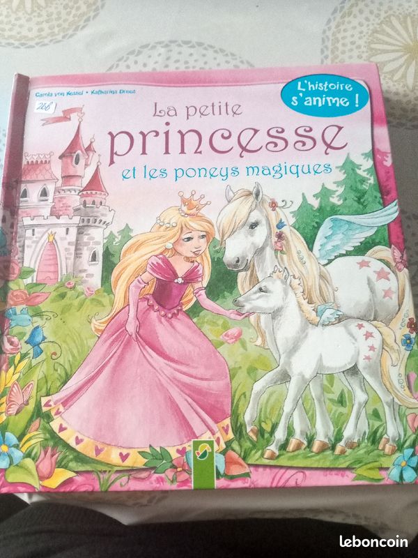 La petite PRINCESSE et les poneys magiques (image 1)