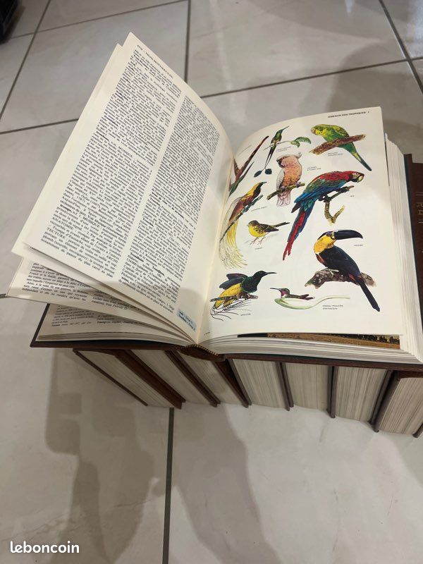 Encyclopédie, focus de Bordas (image 3)