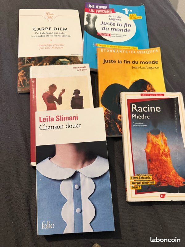 Livres lycée seconde et première (image 1)
