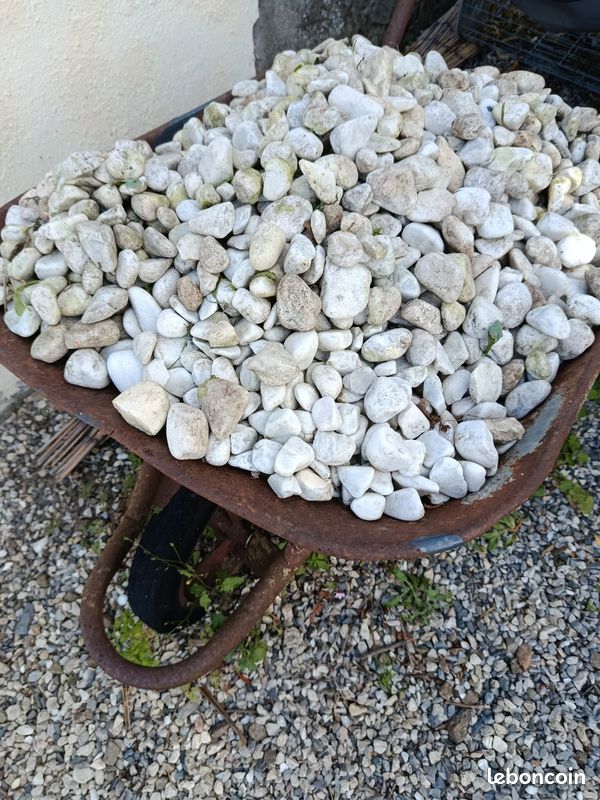 Galets blancs gris (image 2)
