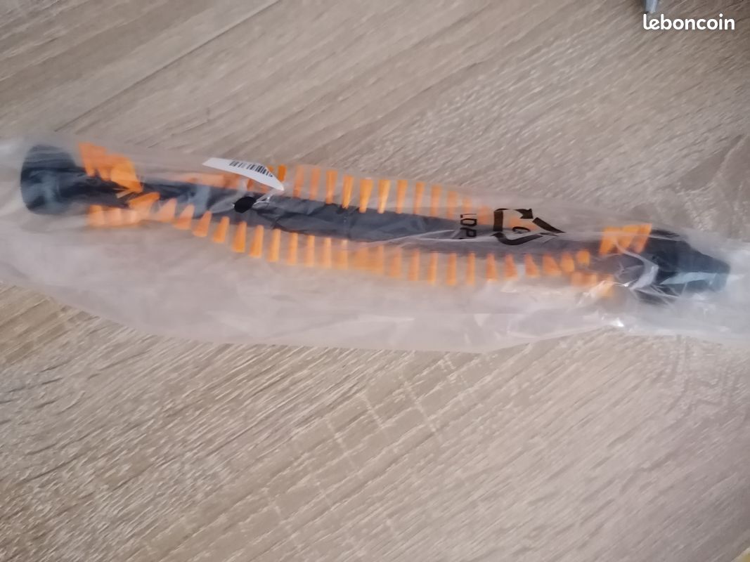 Brosse-Rouleau aspirateur sans fil Electrolux (image 1)