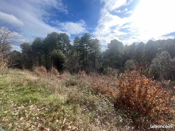 Terrain 1 440 m² Ribes