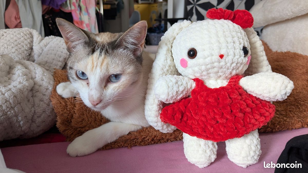 Peluche Lapin grande taille fait main au crochet (image 8)