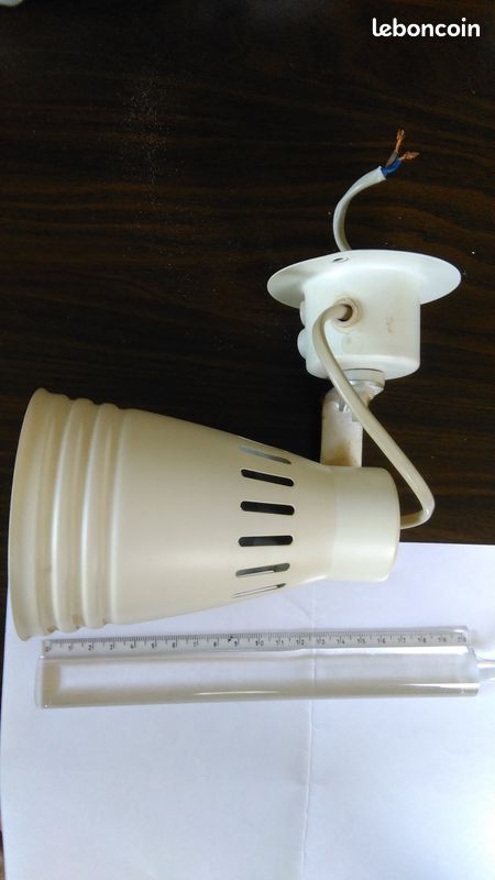 Spot (image 3)