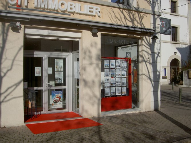 CIT IMMOBILIER LA TOUR DU PIN – MORESTEL - Pro leboncoin