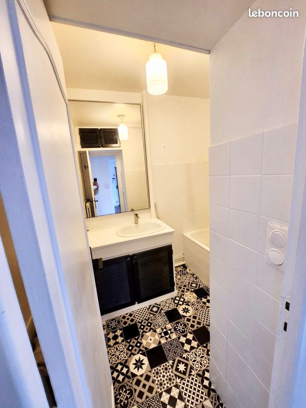 Appartement T3 BIS Limoges Centre - Limoges 87000 (image principale 7)