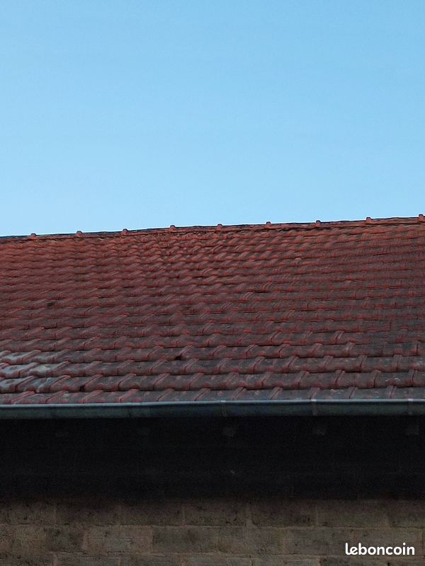 Tuiles Chagny 190m2 dispo (image 3)