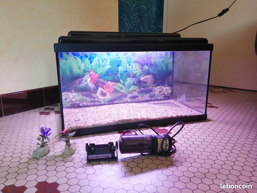 Aquarium (image 1)