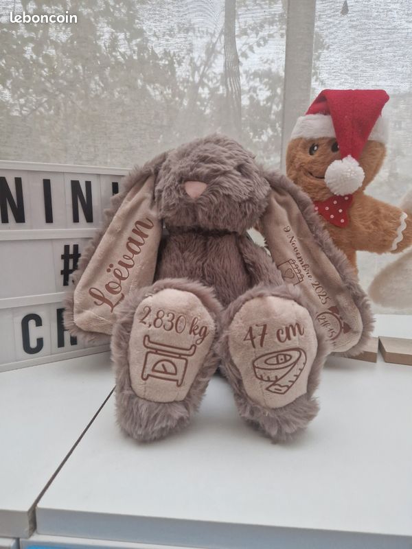 Doudou lapin (image 1)