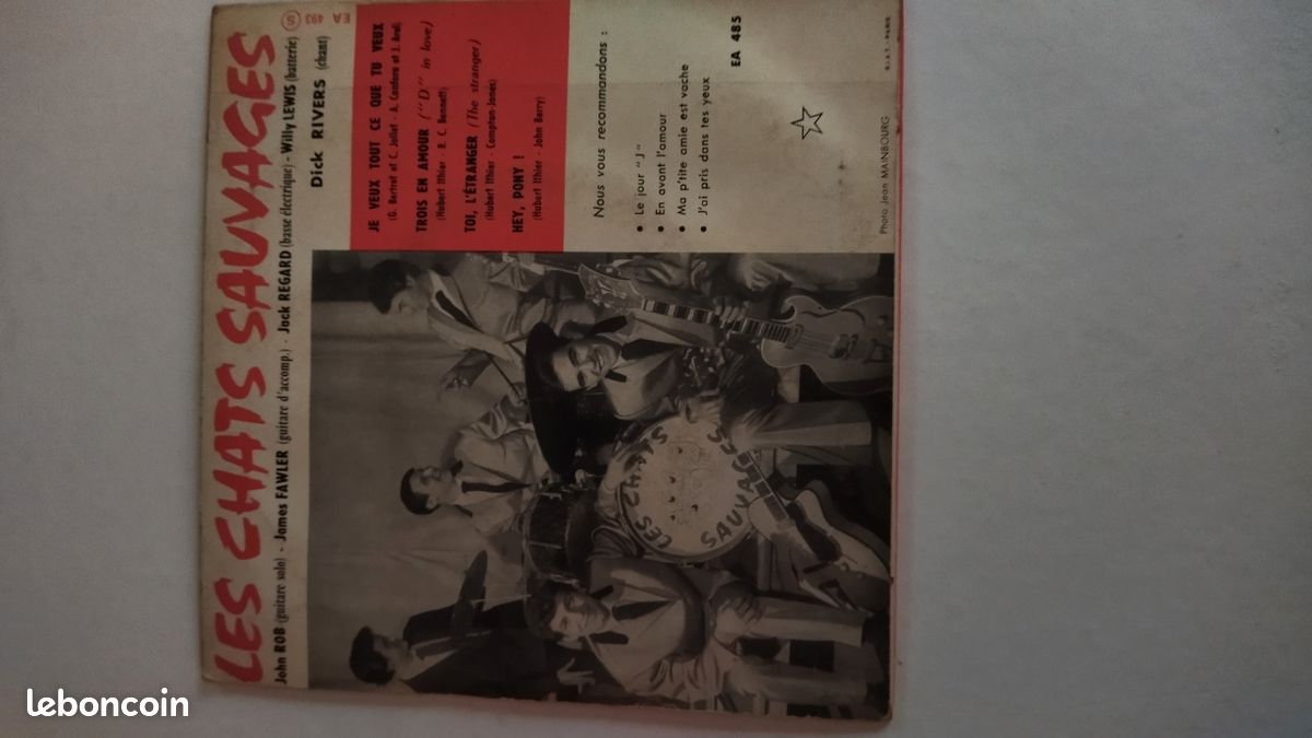 3 disques 45,tour les Chats Sauvages (image 6)